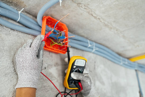 Best Electric Panel Repair  in Clermont, FL